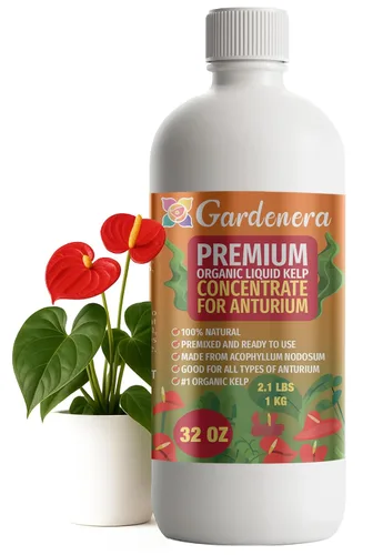 Vista 72 de GARDENERA Superalimento orgánico prémium de algas marinas y algas marinas para plantas AROID - 32 oz - Concentrado de fertilizante líquido de algas