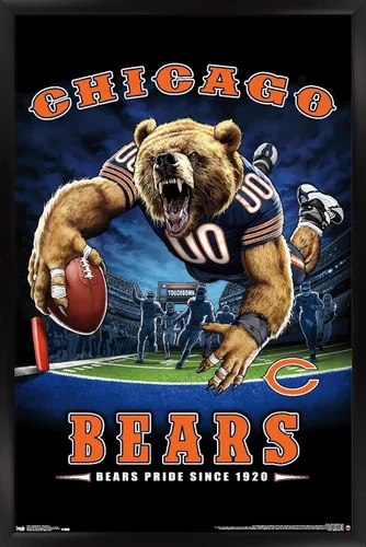 Vista 8 de Trends International NFL Chicago Bears - Póster de pared de End Zone 17, 14.725 x 22.375 pulgadas, versión enmarcada de madera de granero