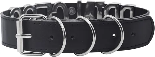 Vista 3 de ADEMISHIA Gargantilla negra con anillo tórico para mujer, collar de cuero vegano suave con letras grandes de aleación, gargantilla gótica punk