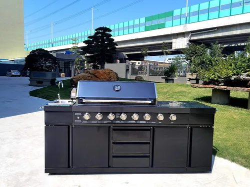 Vista 4 de Parrilla de cocina de acero inoxidable 3 en 1 negro para barbacoa al aire libre, isla de cocina, gas licuado de gas licuado de gas licuado de gas