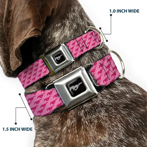 Vista 2 de Collar para perro FM - Mustang w/Barras w/Texto (W30628) - Ancho Pequeño
