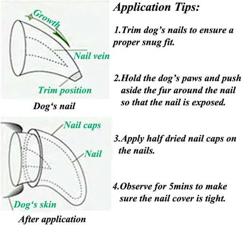 Vista 6 de 100 tapas de uñas para perro, tapas de uñas de perro para patas de perro con 5 pegamento adhesivo+5 aplicaciones e instrucciones