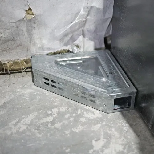 Vista 9 de Trampa para ratones humanitaria de múltiples capturas con parte superior transparente, solución reutilizable y eficaz de control de roedores, trampa