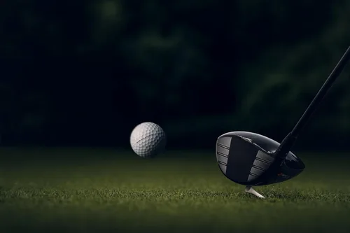 Vista 8 de Titleist Pro V1x