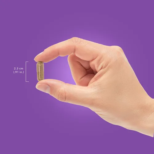 Vista 5 de RestoreZ Stay Asleep (60 cápsulas) Suplemento natural para dormir - Mantiene un sueño reparador durante toda la noche - Ayuda para dormir sin hábito