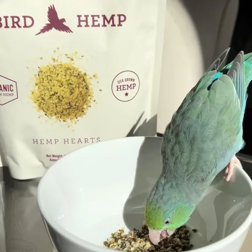 Vista 4 de Hemp Well Corazones de cáñamo orgánico para pájaros: reduce el desplome de las plumas, promueve la relajación, el apoyo inmunológico, orgánico
