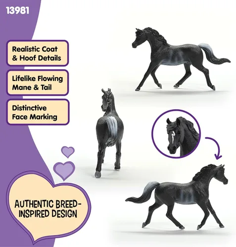 Vista 3 de Schleich Horse Club - Figura de semental árabe Rabicano - Figuras de poni para niñas y niños - Juguetes para niños a partir de 5 años