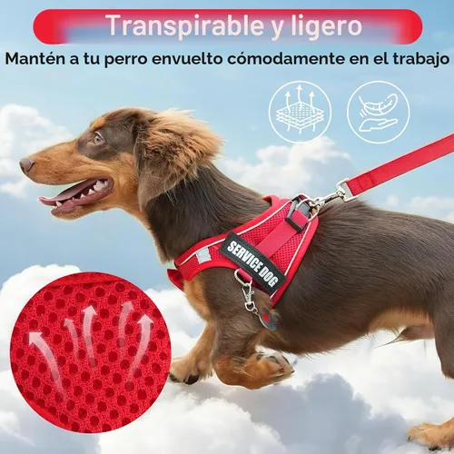 Vista 5 de Arnés de chaleco de servicio para perros de raza pequeña con etiqueta de identificación, 50 tarjetas ADA, 10 parches extraíbles, arnés de apoyo