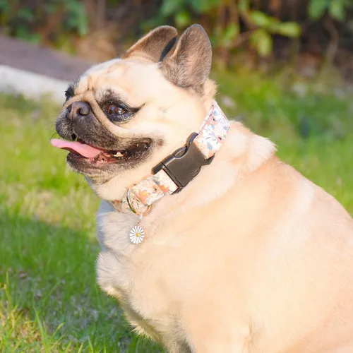 Vista 6 de Lindo collar de algodón para perro, patrones de flores, collares suaves y ajustables para cachorros, para hembras, perros pequeños, medianos
