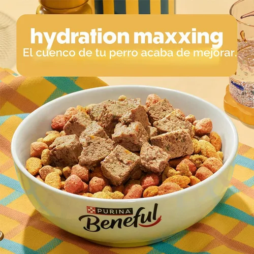 Vista 2 de Comidas preparadas Purina Beneful, comida para perro, paquete surtido, 10 onzas Tubo, paquete de 8