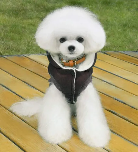 Vista 4 de Abrigo para perro Rdc con capucha para mascotas, abrigos para clima frío, ropa cálida para perro, ropa gruesa de invierno, chaqueta acogedora