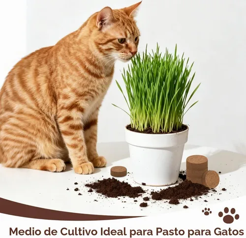 Vista 7 de Halatool 50 piezas de pellets de fibra de coco orgánico para inicio de semillas, 30mm de fibra de coco comprimida para macetas para cultivar