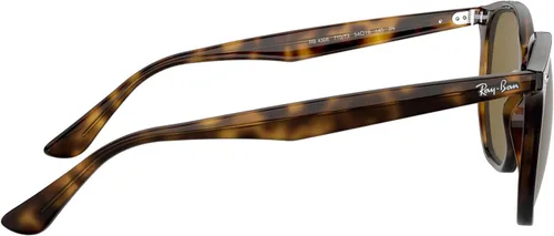 Vista 5 de Ray-Ban RB4306 Gafas de sol + paquete de accesorios Vision Group