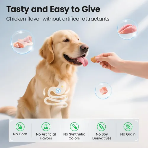 Vista 5 de Suplemento de probióticos masticables para perros, apoya la salud digestiva e intestinal, con prebióticos y enzimas para aliviar la diarrea
