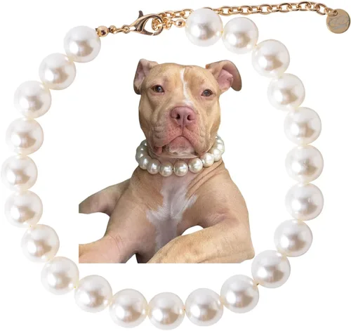 Vista 3 de Collar de perlas con cuentas para perro, hecho a mano, collar de perro elegante con campana, joyería para perros pequeños y cachorros