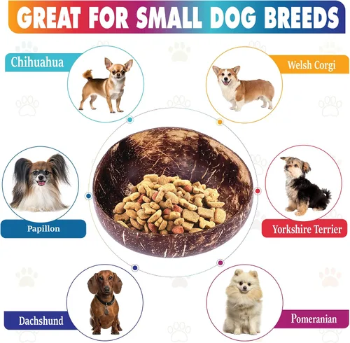 Vista 2 de Cuenco para perros para gatos y perros pequeños, totalmente natural, cuenco de cáscara de coco pulido con soporte de madera, altura total