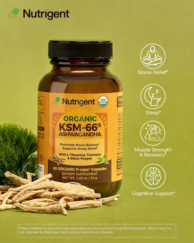 Vista 2 de USDA Organic KSM-66 Ashwagandha 600mg con L-teanina orgánica, cúrcuma y pimienta negra, apoya la calma, la concentración, la relajación