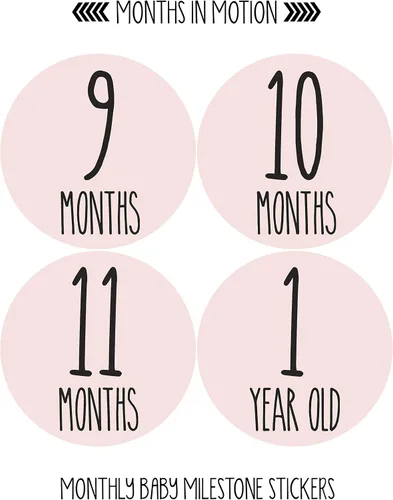 Vista 3 de Calcomanías mensuales para bebé niña, calcomanías de hitos para bebé, calcomanías para recién nacidos, calcomanías de mes para niña, calcomanías
