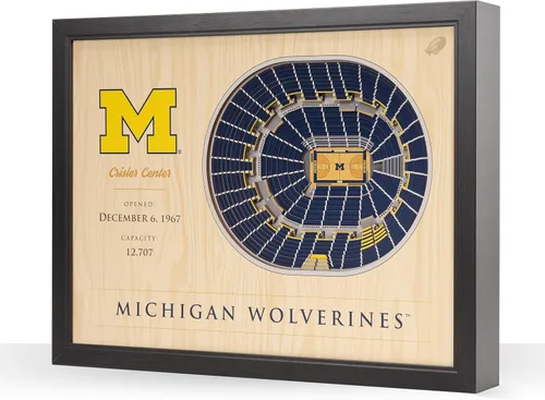 Vista 58 de YouTheFan NCAA Arte de Pared StadiumView de 25 Capas