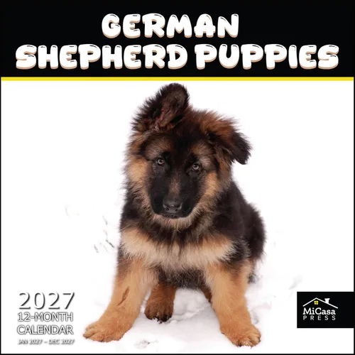 Vista 44 de MICASA PRESS Calendario de pared de Australian Shepherds Aussies 2027 02 - Pastores australianos