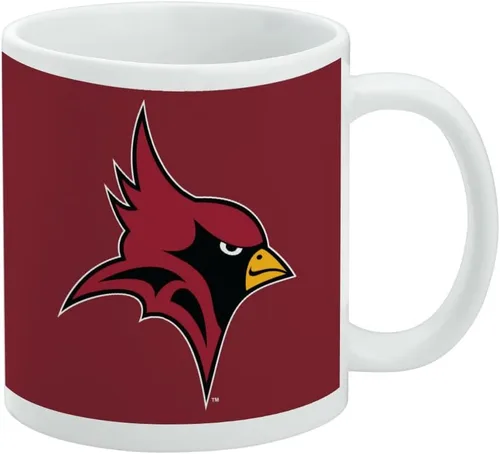Vista 313 de Taza de cerámica con el logotipo principal de la Universidad Rider, taza de regalo novedosa para café, té y bebidas calientes, 11oz, blanca