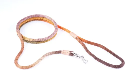 Vista 173 de Alvalley Correa para perros estilo broche – Correa de nailon estilo broche para perros – Fácil de manejar – Perfecto para perros pequeños, medianos