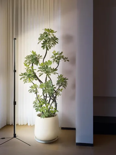 Vista 9 de SANSI Luz de Crecimiento Vertical, Luz de Crecimiento T10 de Pie para Plantas de Interior, Luz de Plantas de Espectro Completo de 80W 144 LEDs
