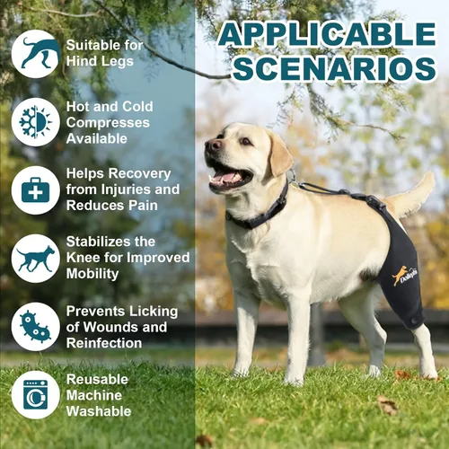 Vista 3 de Rodillera para Perro Dollephi para Pierna Trasera Desgarrada ACL, Compresa Caliente/Fría para Luxación de Rótula u Osteoartritis, Lesiones