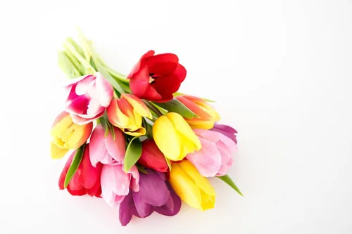 Vista 2 de From You Flowers Ramo de tulipanes arcoíris, 15 tallos con florero gratis (flores frescas)