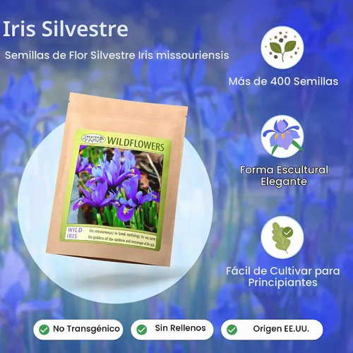 Vista 2 de Created By Nature Wild Iris Seeds, 400 semillas de flores perennes moradas