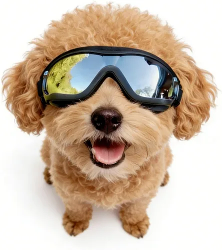 Vista 19 de Antiparras anteojos de sol para gatos o perros pequeños, Negro Negro clásico