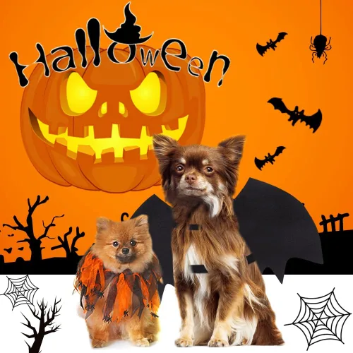 Vista 5 de Vivifying Disfraz de Halloween con alas de murciélago para perro