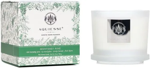 Vista 16 de Aquiesse Vela grande perfumada Black Orchid de 10 onzas