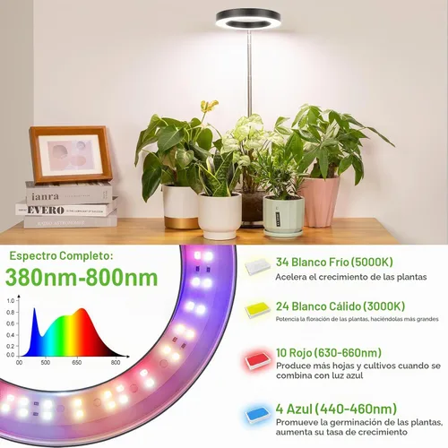 Vista 6 de LORDEM Luz de crecimiento, luz LED para plantas de interior, lámpara de crecimiento de escritorio de espectro completo con temporizador automático