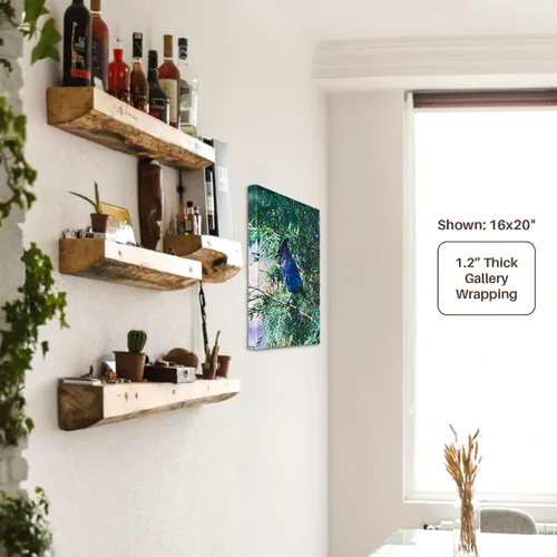 Vista 6 de 3dRose USA, Oregon, Keizer, Pinot Gris grape vineyard - US38 RBR0729 - Rick A Brown Museum Grade Canvas Wrap 16x20