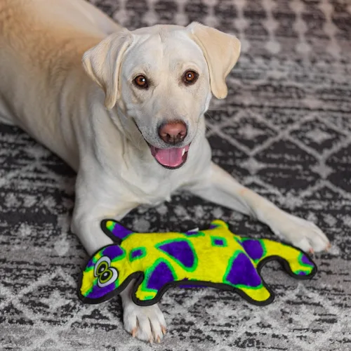 Vista 7 de Outward Hound Durablez Gecko - Juguete de peluche grande sin relleno para cachorros y perros, interactivo, suave pero resistente, sin ensuciar Geco