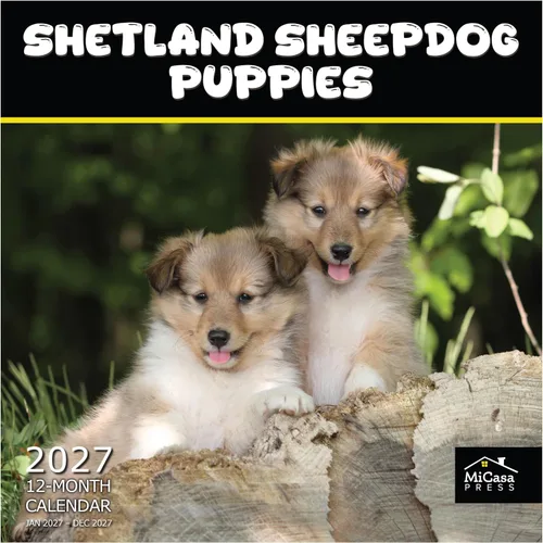 Vista 21 de MICASA PRESS Calendario de pared de Australian Shepherds Aussies 2027 02 - Pastores australianos