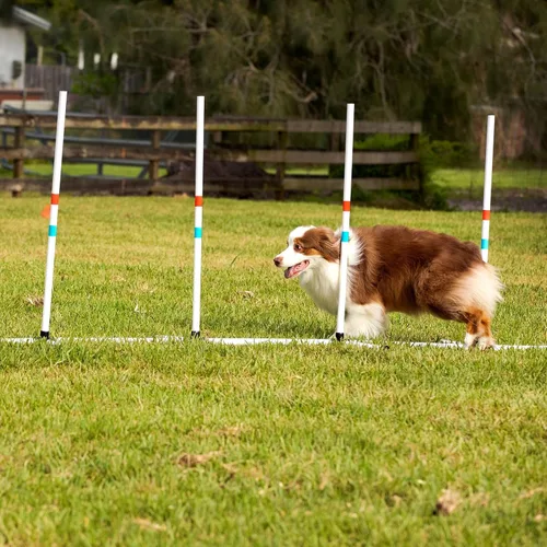 Vista 9 de Midlee Dog Agility - Juego para principiantes - salto de aro, postes de tejido y salto de barra