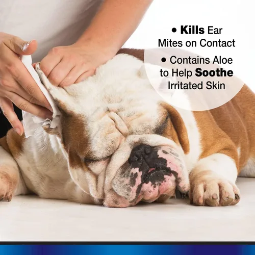 Vista 5 de Tratamiento de ácaros del oído de aloe para perros