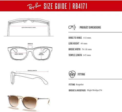 Vista 6 de Ray-Ban RB4171 ERIKA Round Sunglasses For Women +BUNDLE with ACCESSORY EYEWEAR KIT
