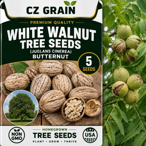 Vista 64 de CZ Grain Semillas para plantar, 40 pequeñas mezclas de calabaza