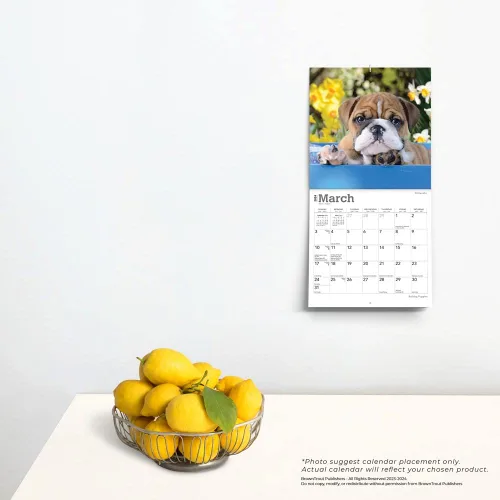 Vista 4 de Bulldog Puppies 2024 7 x 14 Inch Monthly Mini Wall Calendar BrownTrout Animals Dog Breeds Puppy