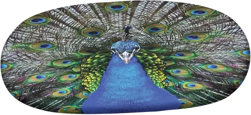 Vista 3 de XISUNYA Mantel ovalado ajustable de poliéster elástico de pavo real, con estampado de fotos y plumas coloridas, se adapta a mesas ovaladas de hasta
