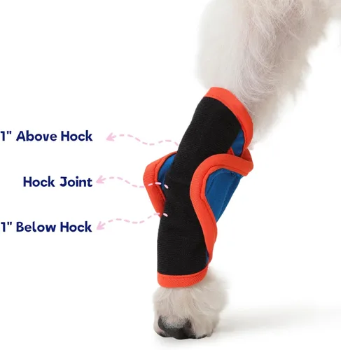 Vista 3 de FUAMEY Soportes para patas de perro para pierna trasera