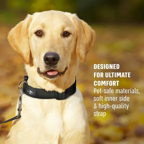 Vista 2 de Active Pets Collar de liberación rápida para perros pequeños y grandes, collar de seguridad ajustable con hebilla segura, comodidad transpirable