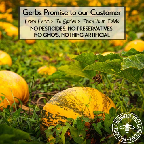 Vista 3 de GERBS Semillas enteras de calabaza con cáscara; Los mejores 14 alimentos libres de alergias alimentarias, sin OMG, vegano, Keto y paleo.