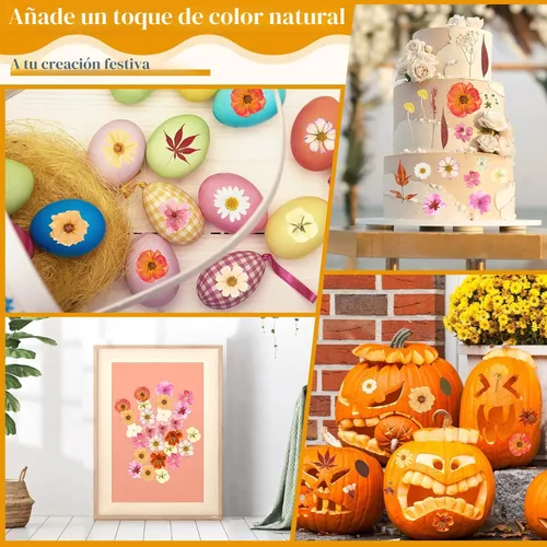 Vista 5 de Flores secas prensadas para resina, flores prensadas reales, hojas secas, kit de hierbas naturales a granel para álbumes de recortes, manualidades