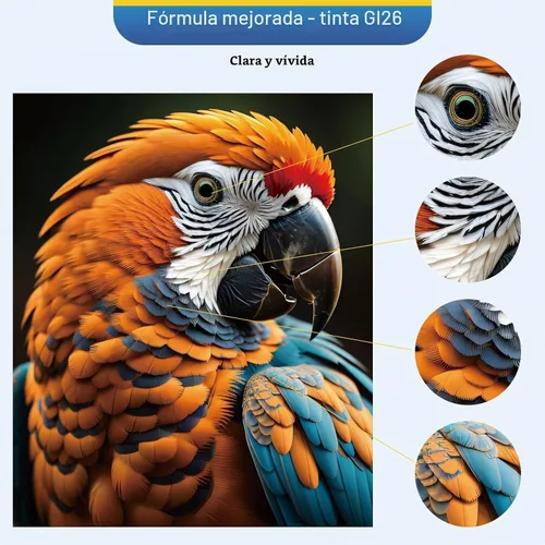 Vista 7 de GI-26 - Juego de botellas de tinta compatible con Canon GI-26, color para Canon GI26 GI, 26 botellas de recambio de tinta, compatible con impresora