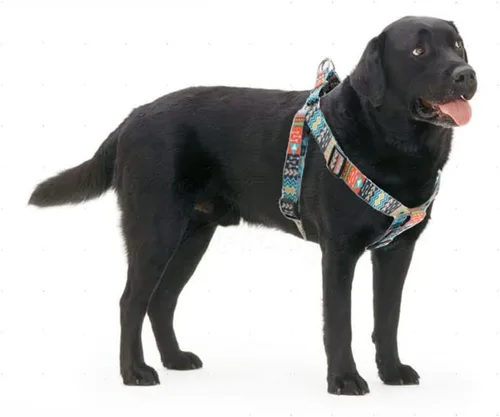 Vista 3 de Juego de arnés y correa para perro, bonito patrón sin tirones, chaleco halter para cachorros, para exteriores, fácil caminar para razas pequeñas