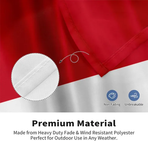 Vista 4 de Bandera de Costa Rica y República Dominicana de 2 x 3 pies, bandera para exteriores, bandera de doble cara, bandera de jardín, bandera de bienvenida
